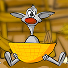 Binki. On the chicken farm