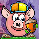 Piggywiggy